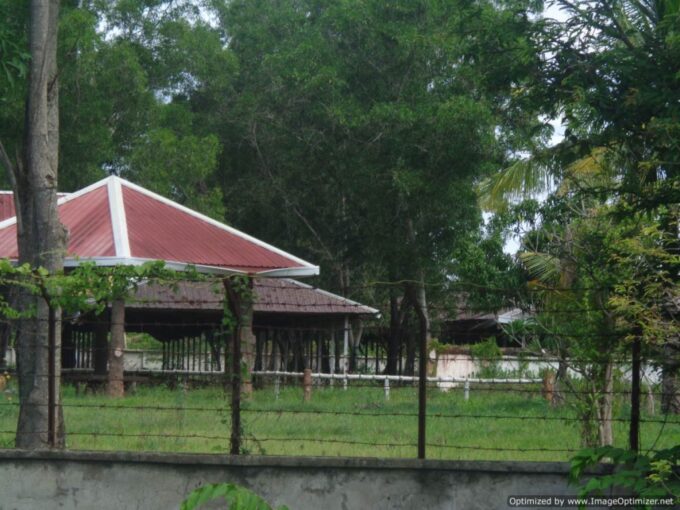 3.7 hectares Development Land in Dangkao for sale