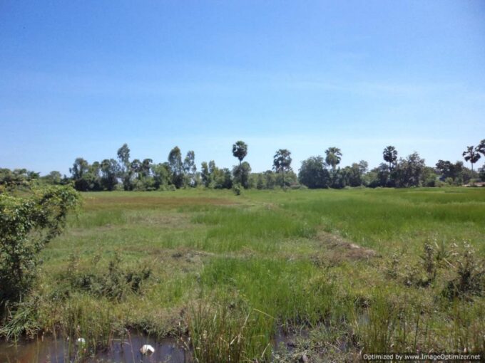 Land for Sale in Dangkao