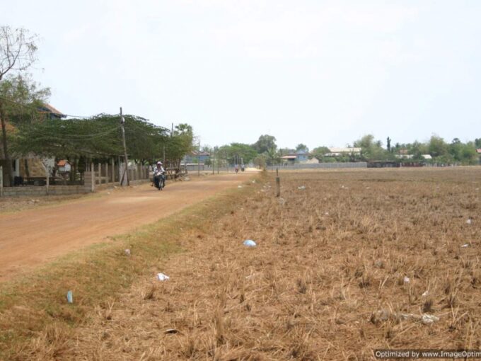 Land  For Sale in Ang Snoul - 50
