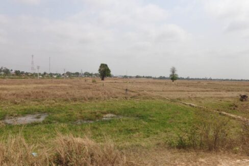 Land for sale in Dangkao - 15