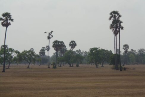 Development Land in Dangkao