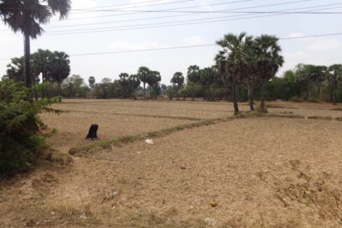 Development Land in Ang Snoul