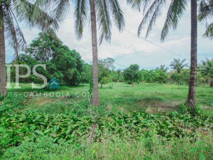 Potential Land for Rent in Siem Reap