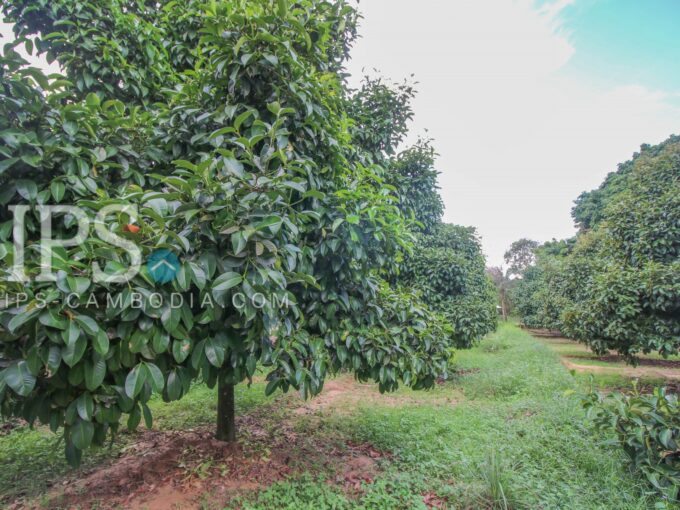 Agricultural Land for Sale - Sangkat 4