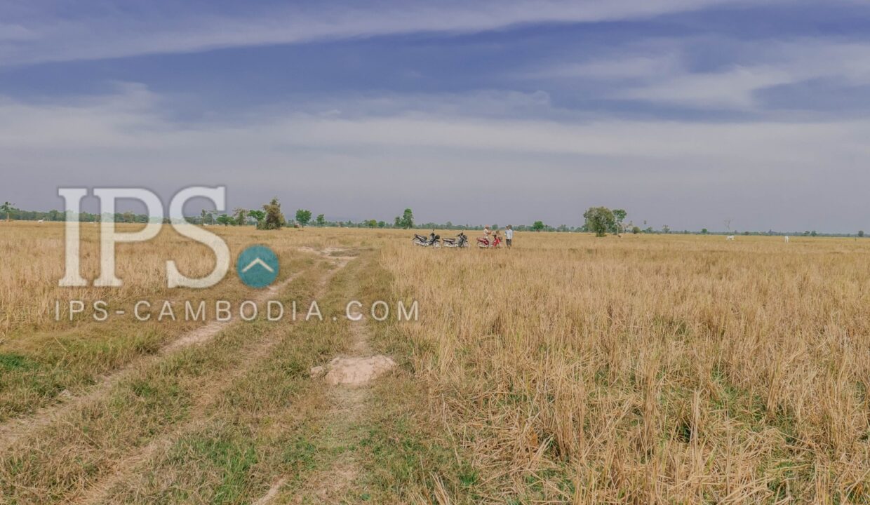 000 sqm Land For Sale - Bakong