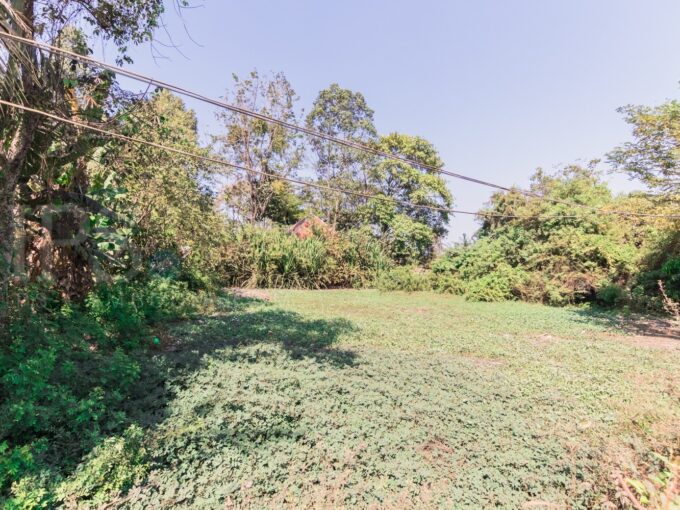 812 sq.m Land For Sale - Svay Dangkum