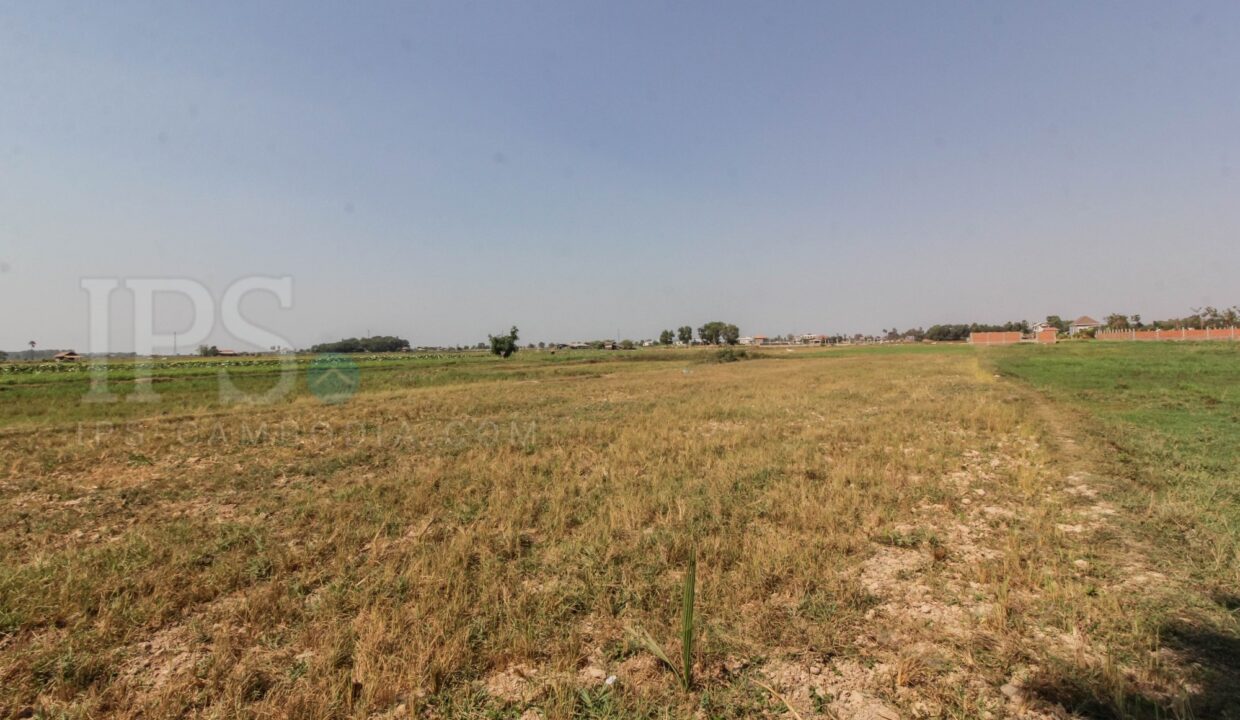700 sq.m. Land For Sale - Svay Dangkum