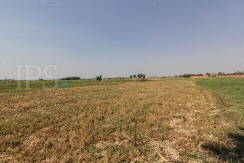700 sq.m. Land For Sale - Svay Dangkum