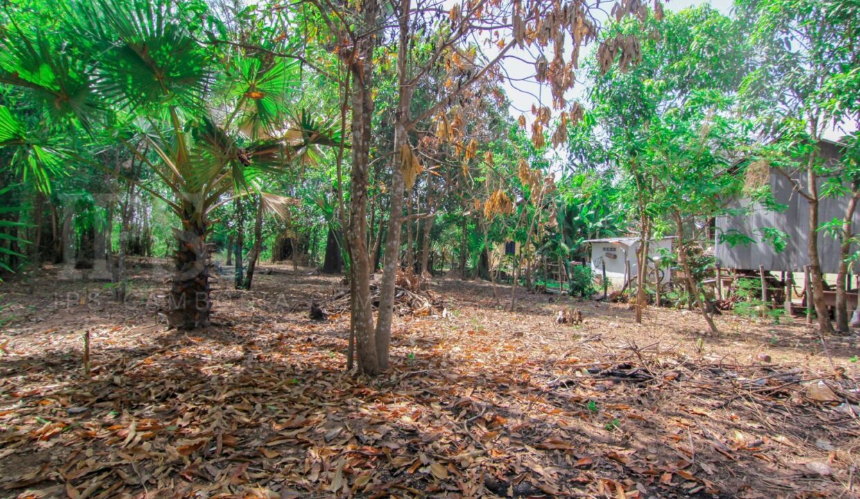 Siem Reap