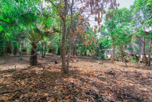 Siem Reap