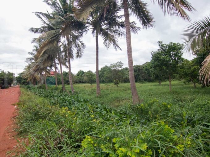 6170 sq.m. Land For Rent - Sala Kamreuk