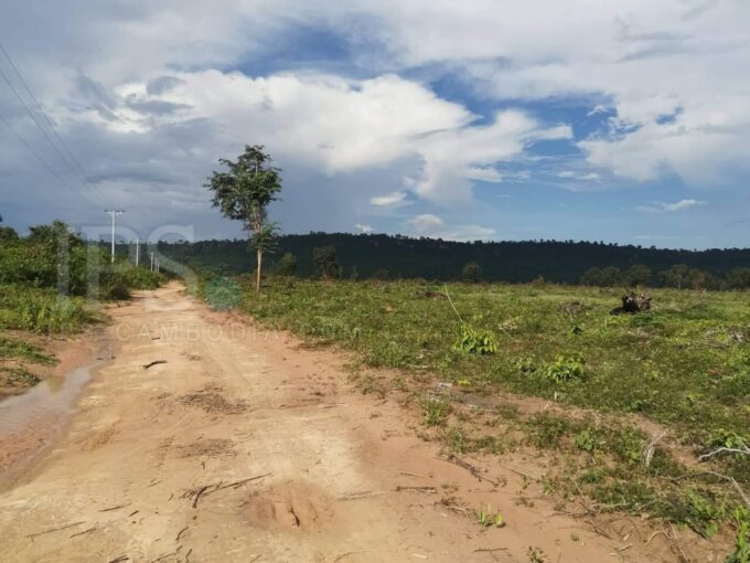 10 Hectares Land For Sale - Banteay Srei