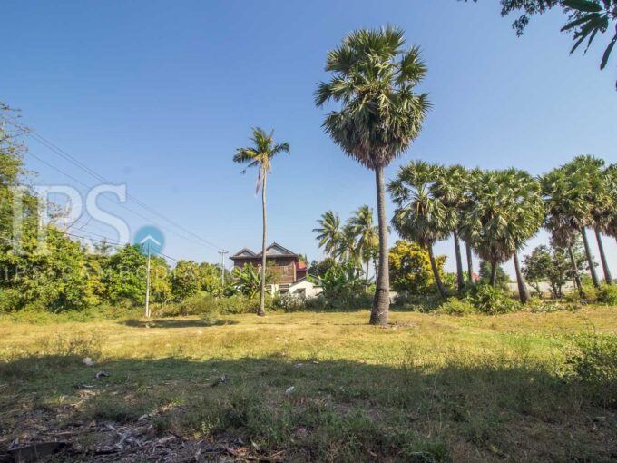 2 Hectares Land For Sale - Svay Thom