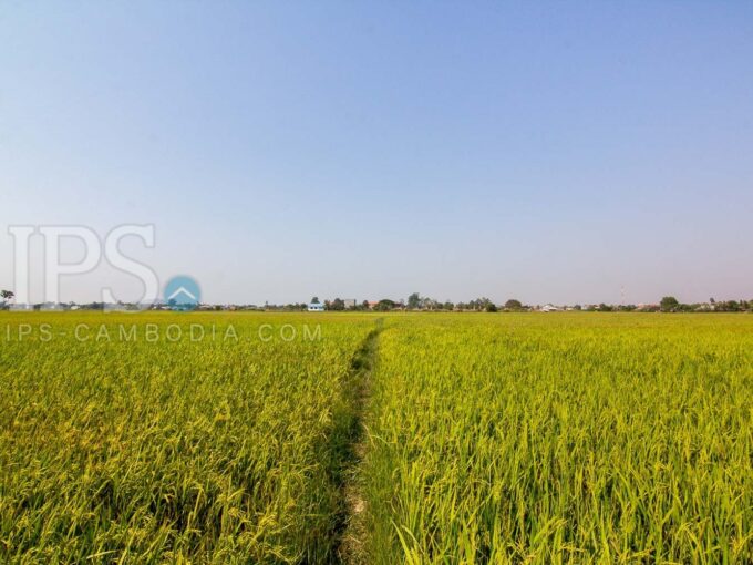 8000 Sqm Land For Sale - Chreav