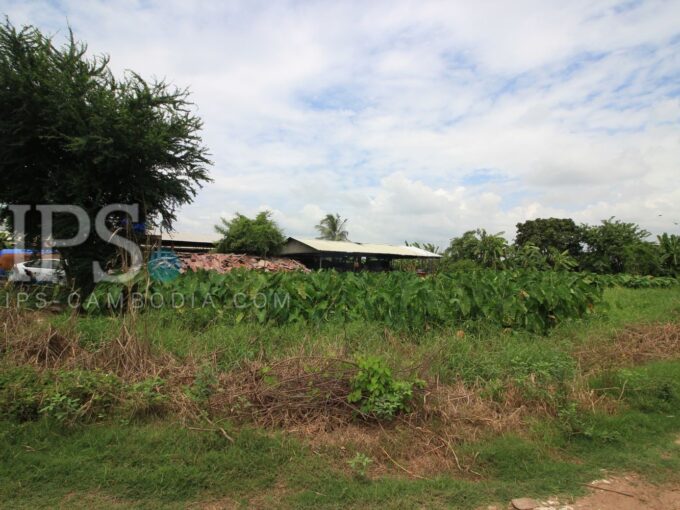 8 Ha Agricultural Land For Sale - Kiensvay
