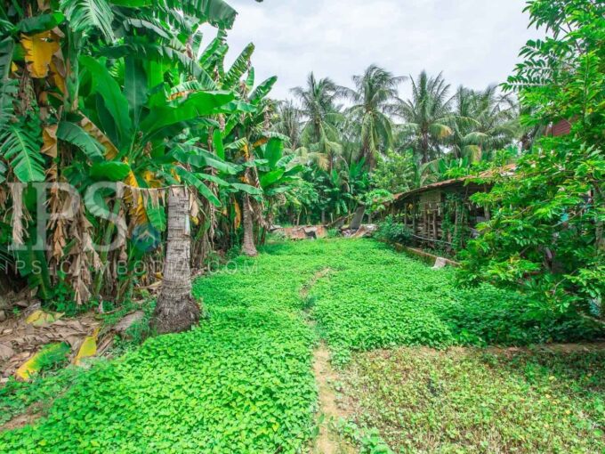 450 Sqm Land For Sale - Wat Po