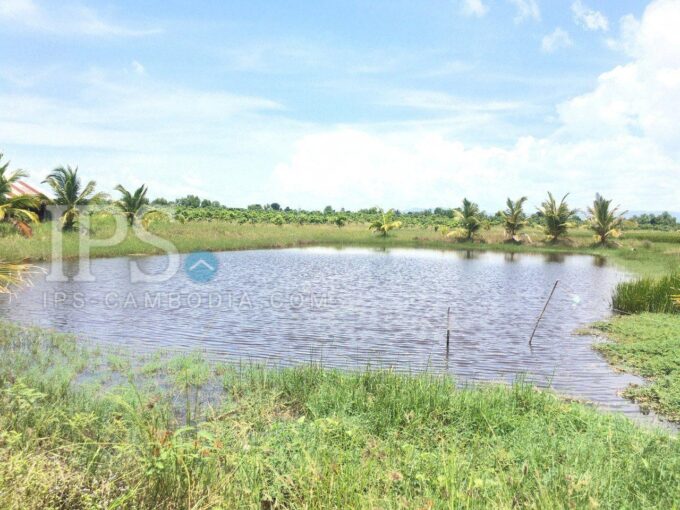 18 Ha Agriculture Land For Sale - Kompong Speu