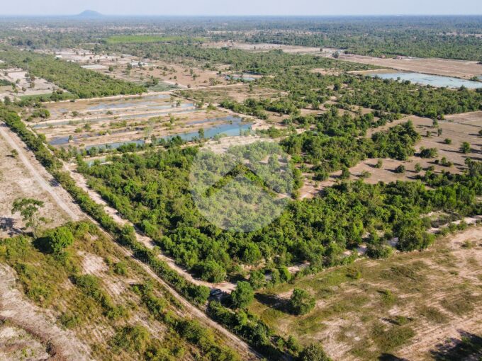 6.2 Hectare Land For Sale - Nokor Thum