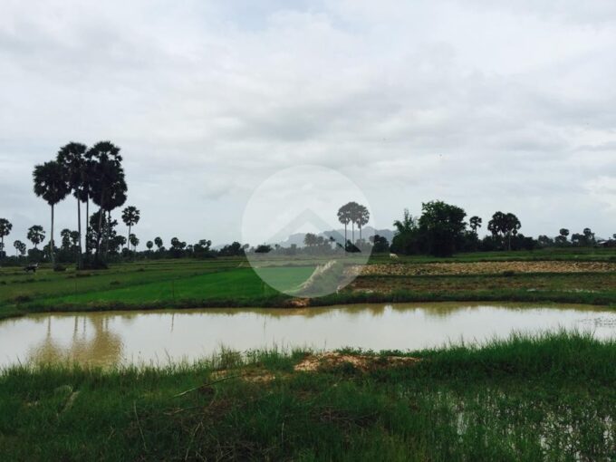 12 Hectare Agricultural Land For Sale - Trabeng 3