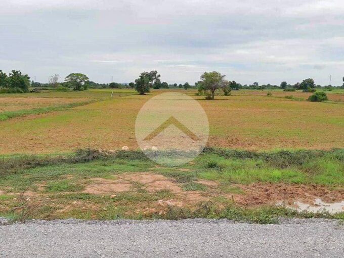 4702 Sqm Land For Sale - Chrey Commune