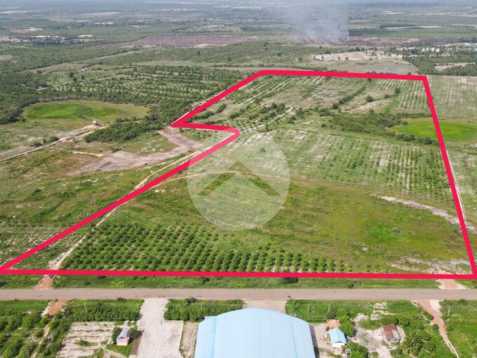 28 Hectare Land For Sale - Banteay Srei