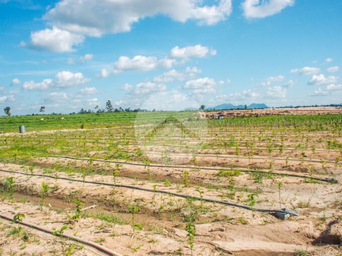 200 Hectare Land For Sale - Kampong Chhnang