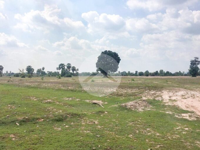 19 Hectares Land For Sale - Banteay Srei