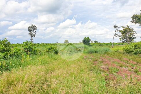 12 Hectare Agricultural Land For Sale - Koh Ke