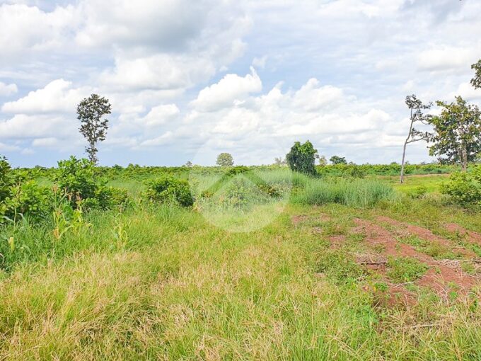 12 Hectare Agricultural Land For Sale - Koh Ke