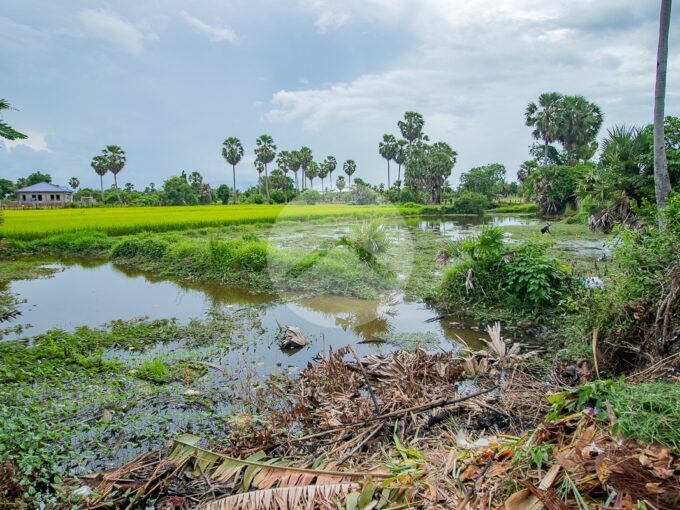 2321 Sqm Residential Land For Sale - Wat Athvear