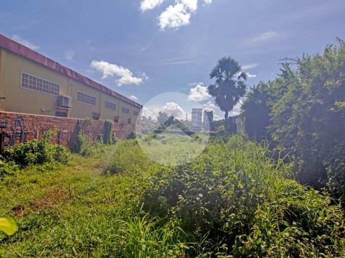250 Sqm Residential Land For Sale - Sala Kamreuk