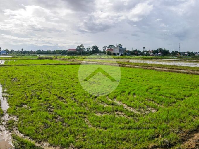 4358 Sqm Residential Land For Sale - Sangkat Siem Reap
