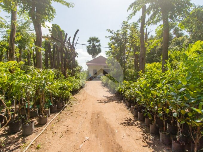 2433 Sqm Commercial Land For Sale - Sra Ngae