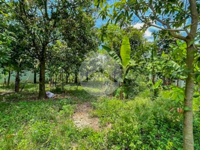 1175 Sqm Riverfront Land For Sale - Kien Svay