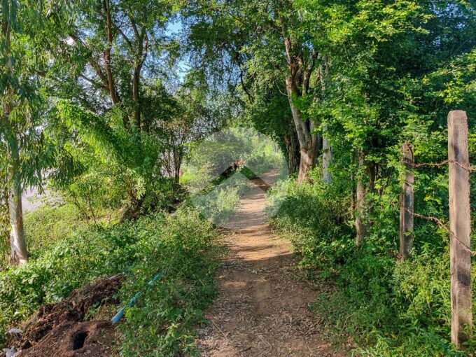 15 Meter Frontage Land For Sale - Koh Dach