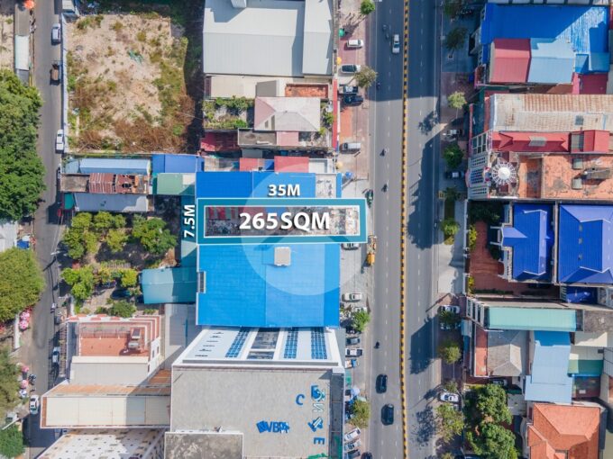 265 Sqm Land For Sale - Monivong BLVD