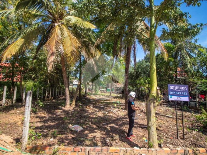 560 Sqm Residential Land For Sale - Sala Kamreuk