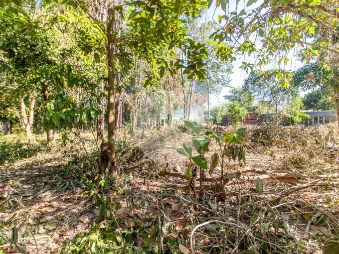 500 Sqm Residential Land For Sale - Svay Dangkum