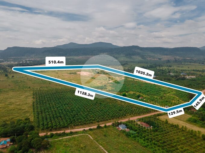 41 Ha Land For Sale - Traeng Trayueng