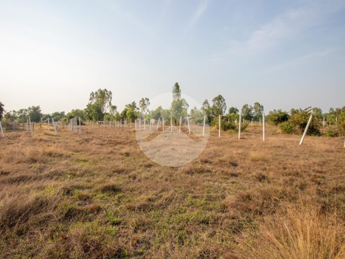 440 Sqm Residential Land For Sale - Road 60