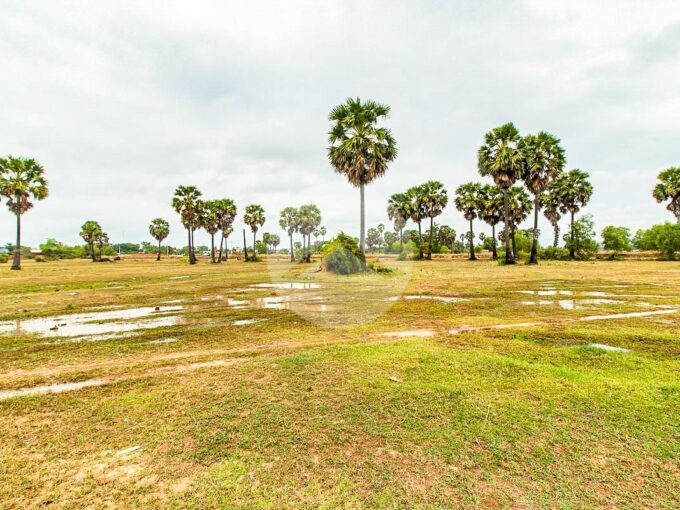 1500 Sqm Residential Land For Sale - Ampil