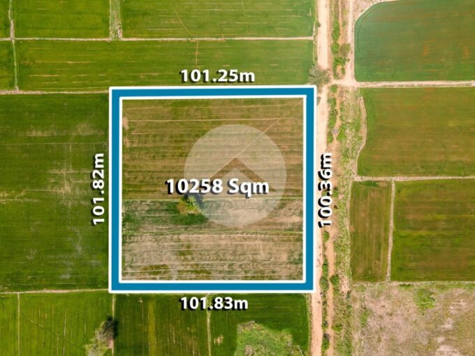 10258 Sqm Agrilculture Land For Sale - Kien Svay