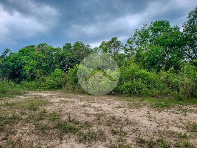 2 Hectare Land For Sale - Angkor Thom