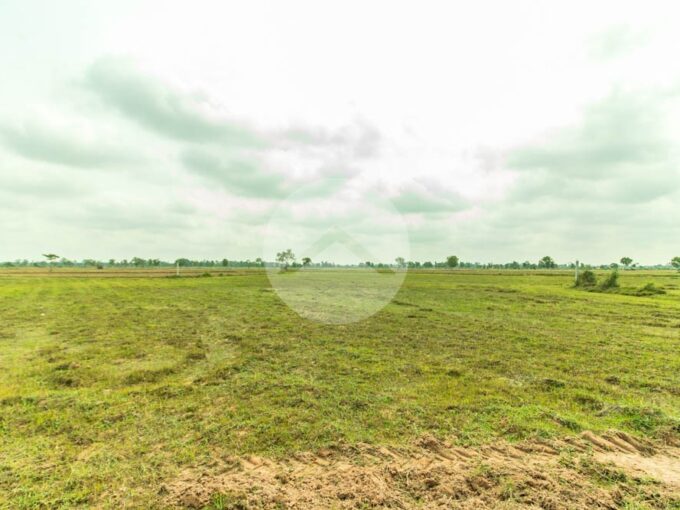 9915 Sqm Land For Sale - Krabi Riel