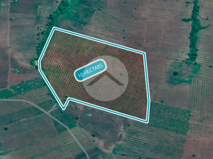 10 Hectare Agricultural Land For Sale - Koh Ker