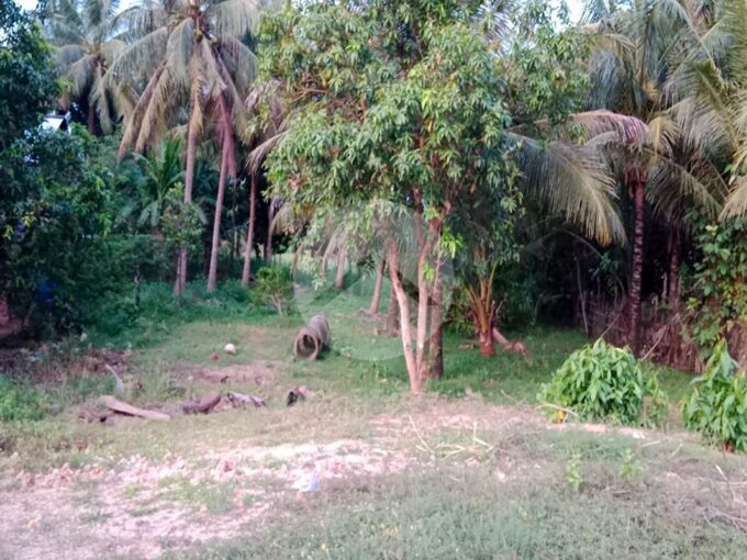 1800 Sqm Residential Land For Sale - Sre Noy