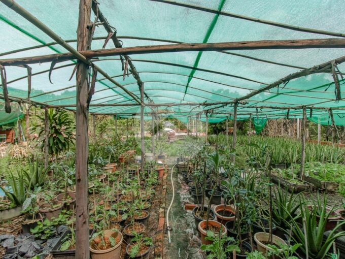 1238 Sqm Residential Land For Sale - Slor Kram