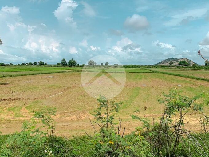 1.2 Hectare Land For Sale - Sangkat Siem Reap
