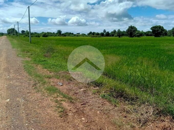 7619 Sqm Land For Sale - Battambang