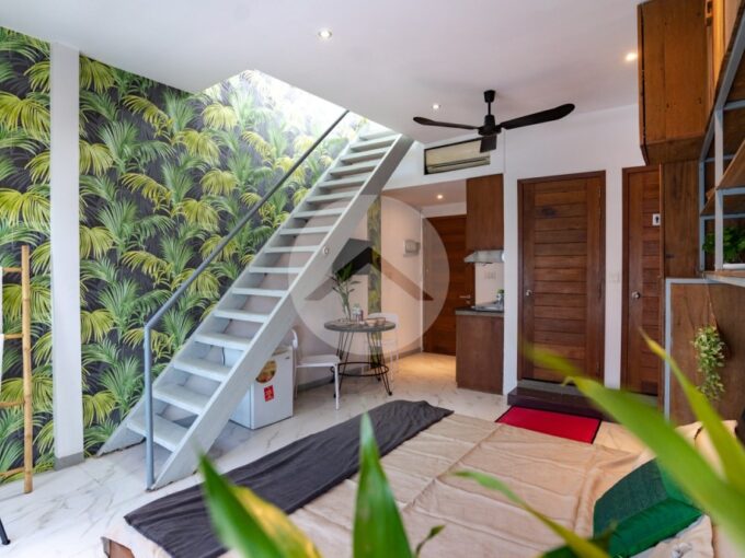 Studio plus Rooftop Apartment For Sale - Daun Penh